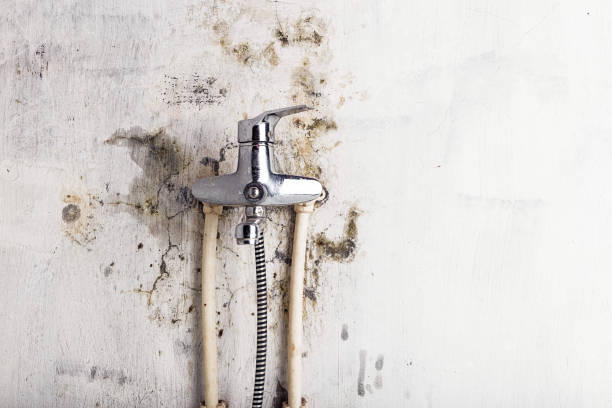 Best Residential Mold Removal  in Conashaugh Lakes, PA