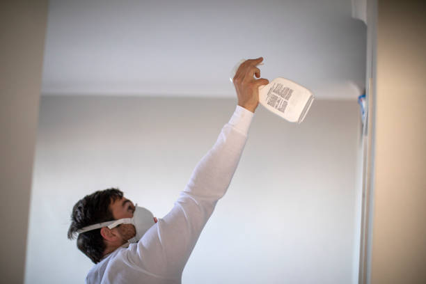 Trusted Conashaugh Lakes, PA Mold Removal Experts