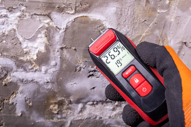 Best Local Mold Removal Service  in Conashaugh Lakes, PA