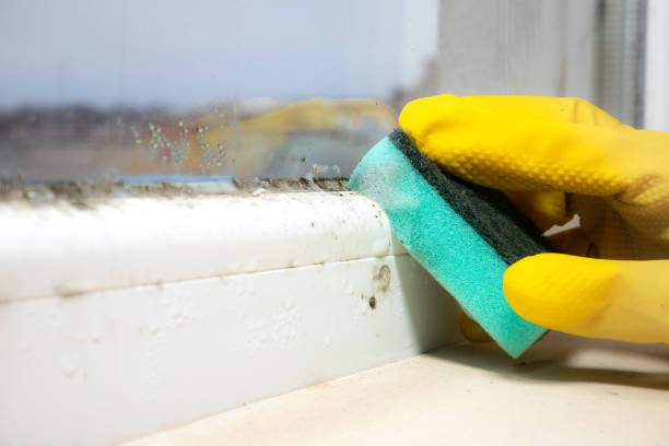 Best Office Mold Removal Services  in Conashaugh Lakes, PA